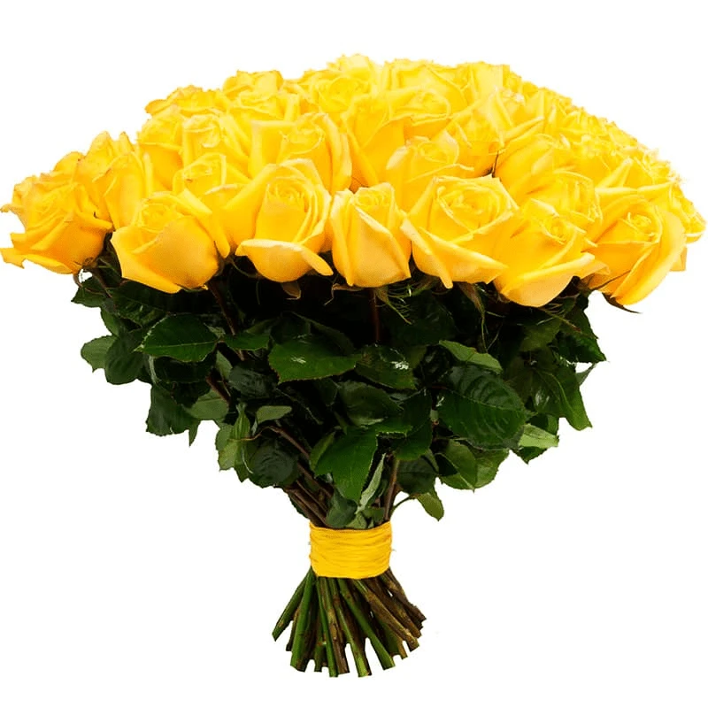 Розы Желтые