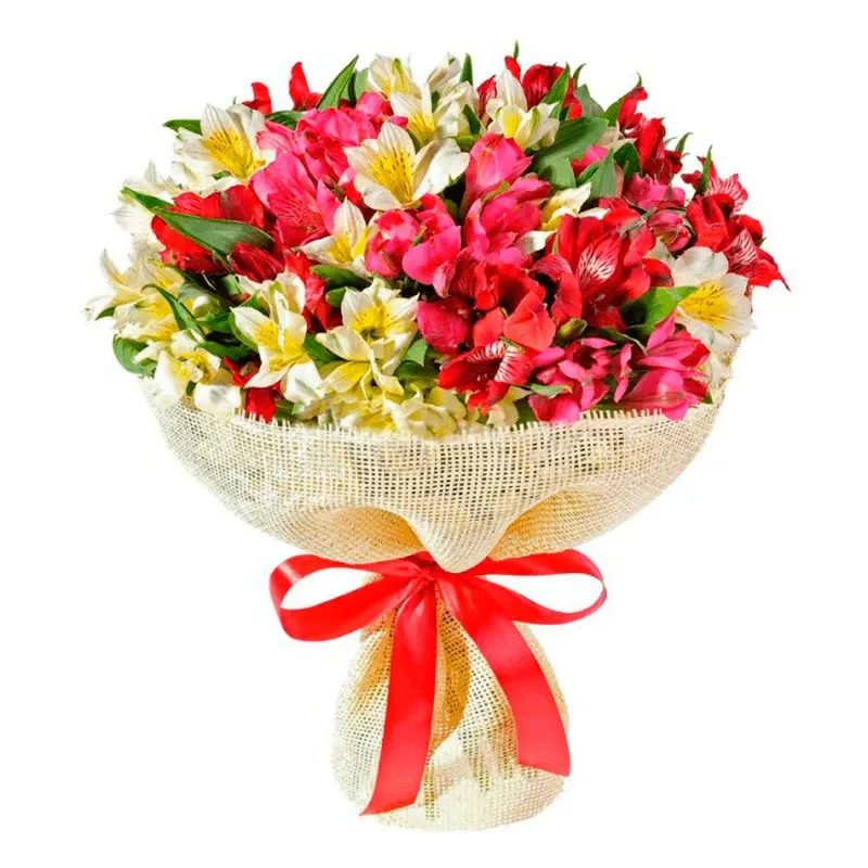 Букет из альстромерии «Отличница»