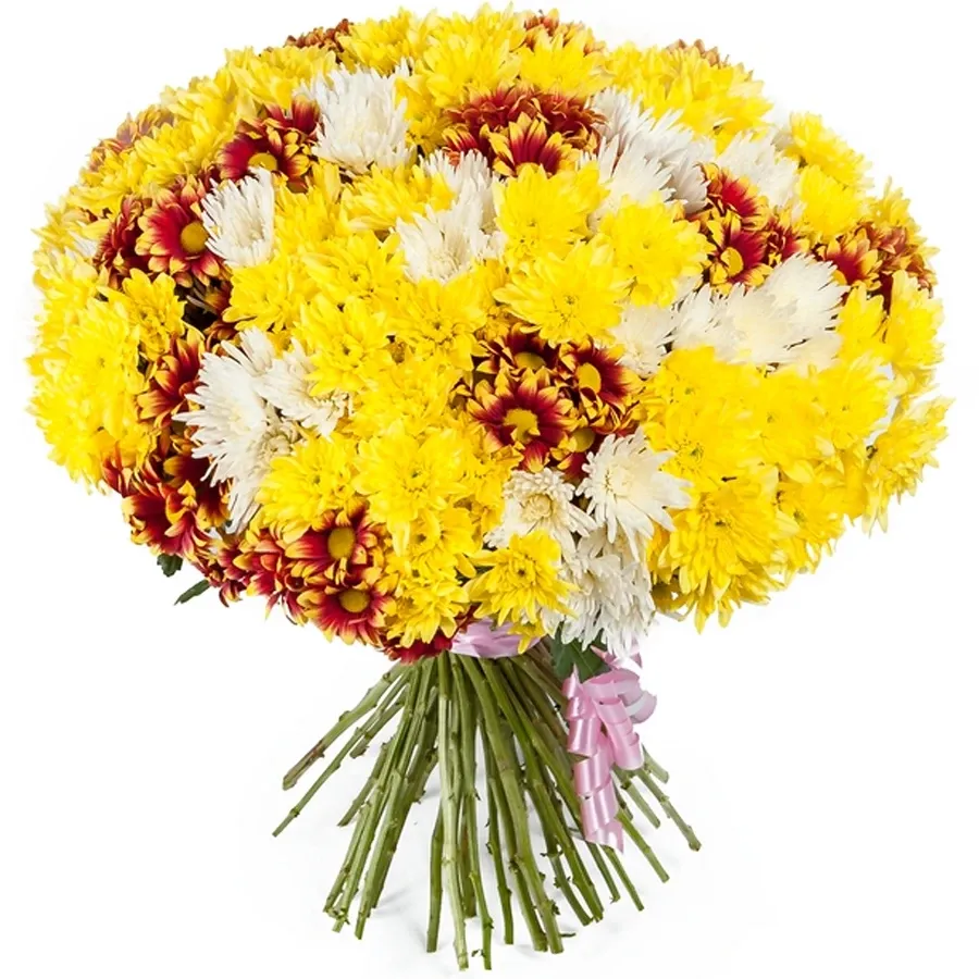 Хризантемы кустовые  солнечный микс